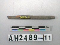 藏品(磨製石針)的圖片